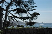 Big Sur_1